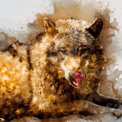 11276162529628641556553056529614973332754405277106184420845745051009963524097