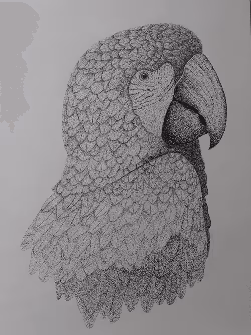 Item #76538759470423162086221664007687451855803865609260274805273386945935608644361 Media