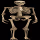 59125795228988494828548543020170432463825009328509859582211386373971166363748
