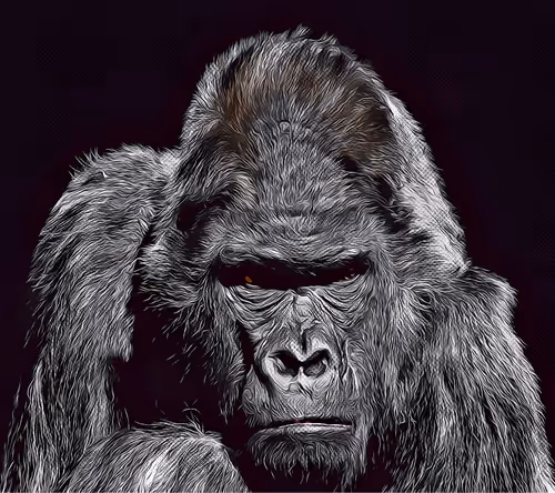 Item #93923233632041811591947190979748188686960949210447333621743719707232201343026 Media