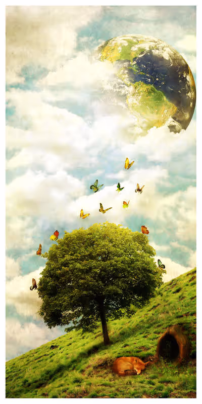 Item #9940690125582976174524544918400343280477728270389007373543071258554644037633 Media