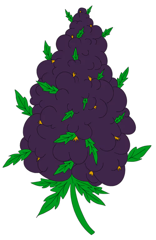 Item #66522560998545399229965450934026756509411677722078859939307370275462497435649 Media