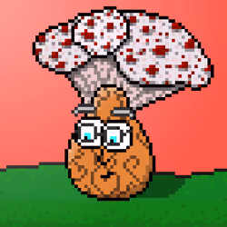 33741781216748986518517832568595493503429706584982134247768926150348746260481