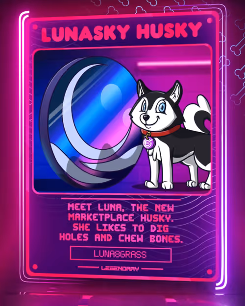 Item #64898168756948007660029425703714025079538547719249121468627640442757849284609 Media