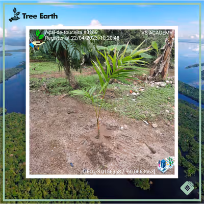 Item #8500196597889277390194123329501889087166328879864934763448349358078965055489 Media