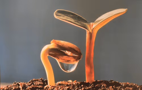 Item #104496985584808197411299000803927756186977529206466580863662693534461513957386 Media