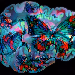 41797469363834440502181864758100633672867482759361067528328297308057210191873