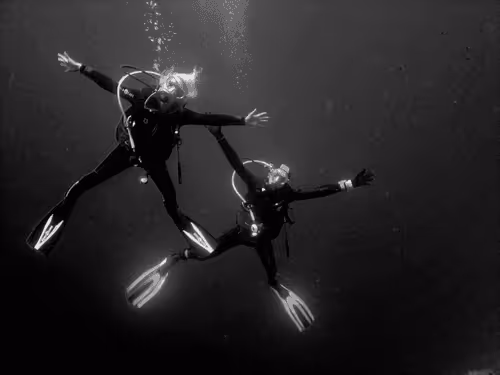 Item #19032294772148781182284612819641724008579829006900072158309399307452350988289 Media