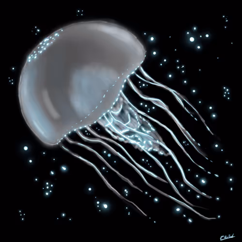 Item #86822418298112718380262852557402274142826005188599106625847011389583883501569 Media