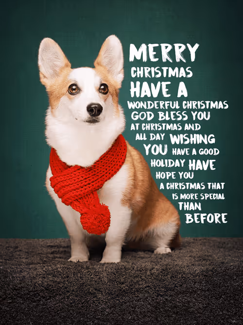 Item #8036610274517614856282005705215780499318604713549687172679363453294972239875 Media