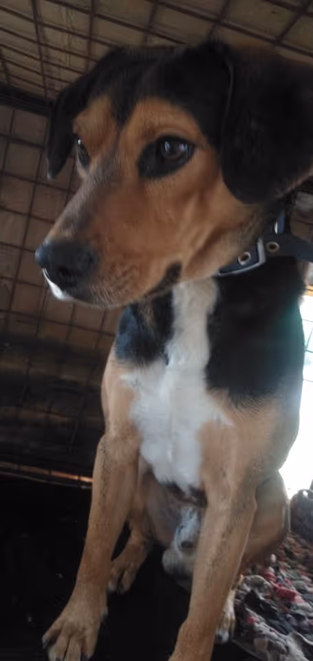 Item #23439807421783349604606688817165201350165750151979961366033252249093456003073 Media