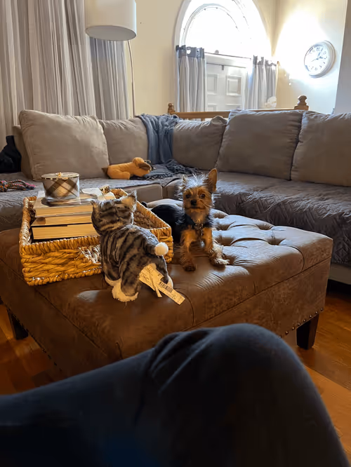 Item #88066140528539479869456014744410398514327997074780151392509103650935148642305 Media