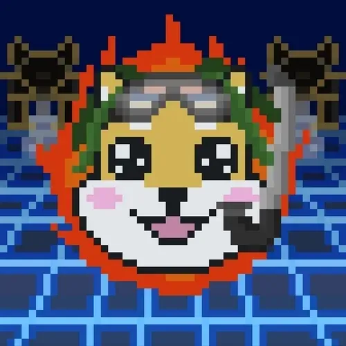 Rocketshiba