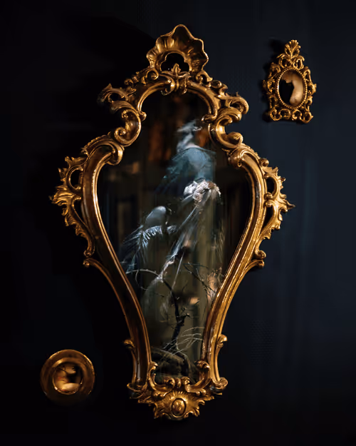 Item #61916521652635380747587837437641190106942101719760640466898869966587727708161 Media