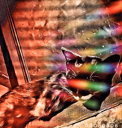 Item #79960430426561695494080117896553478252784794469094828787665606368471912809669 Media