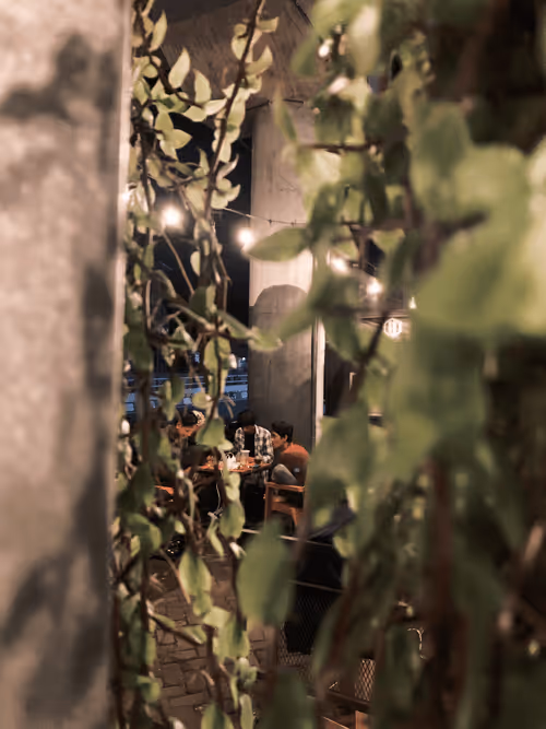 Item #96196539023591084910612092193533286076019618757175332640844223267058472714241 Media