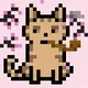 62467536445418901683526312390752010330375978015730577464472942289697057538049