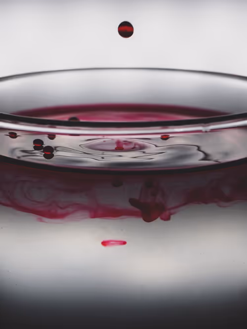 Item #39391070493116977564899321791408150162796374052111424108014134424945895145473 Media