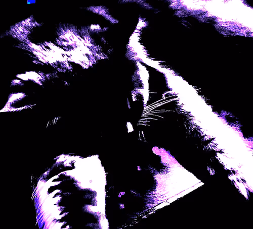 Item #41775503181297028472732476868567577955991185268920617312061537723351358767105 Media