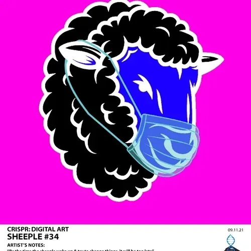 Item #87415360235446664004770043537842400761718434103181100029078096210987331878913 Media