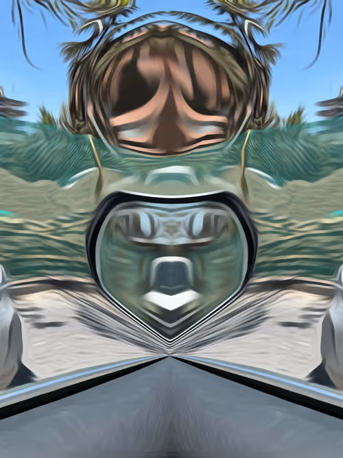 Item #65606485736527137616885657968113571188205075351696562298008987030349905133569 Media