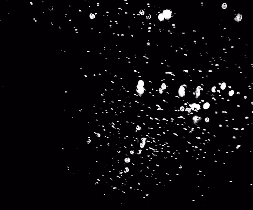 Item #33878741317947757839566996595602604469585244495784513692224700276412556247041 Media