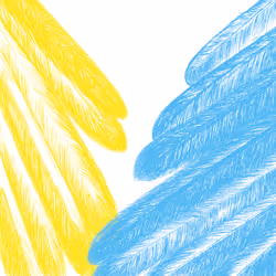 Feathers