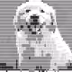 62360323044213732253940589120526887229141419140576684529487290325625953320961