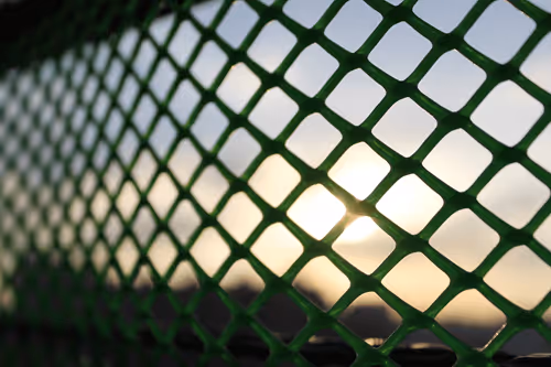 Untitled Collection #88607266