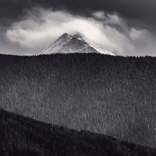 Item #5251330199677453137602023224784085473463322177594998439991548925184552468481 Media