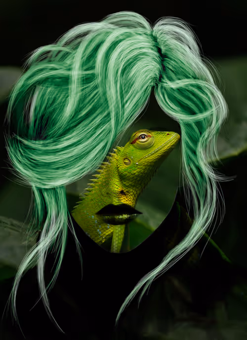 Item #102160897383296135165749100470771733786457412103211537161600656283015751663617 Media