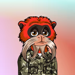 67182258498829374843706483608151563094647588442130083225553784601804835651585