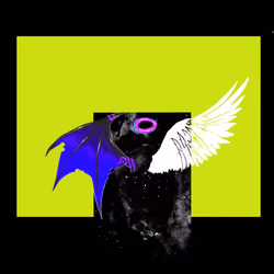 wings #30
