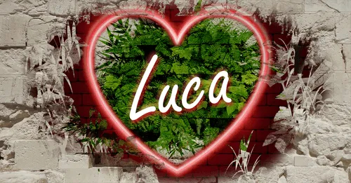 Item #68053287575525751288269231675427811746861684968250582901590729495776113721354 Media