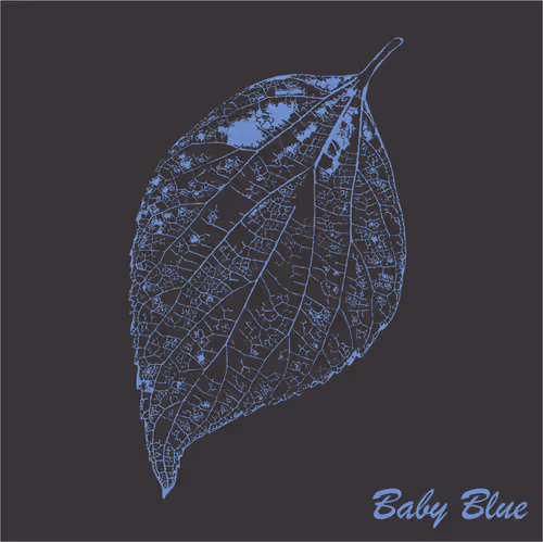 Item #40167138637940562108431742001123872206105593199433866487640627805480976121857 Media