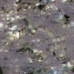 51505744279772251808310948570193708993242265706659681932624859566100692598785