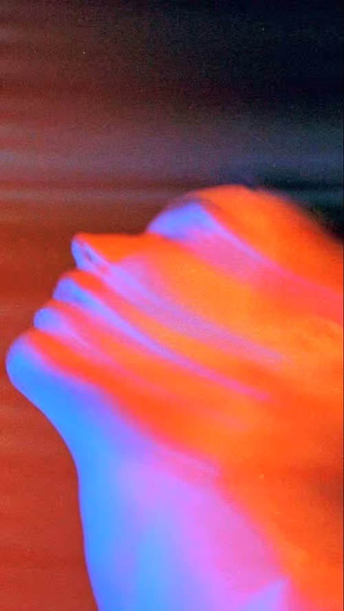 Item #99994095301941465952274170962724798458678231981979167663265485359168754810881 Media