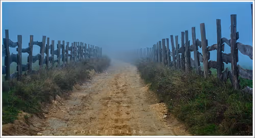 Nature Photographer 177169894