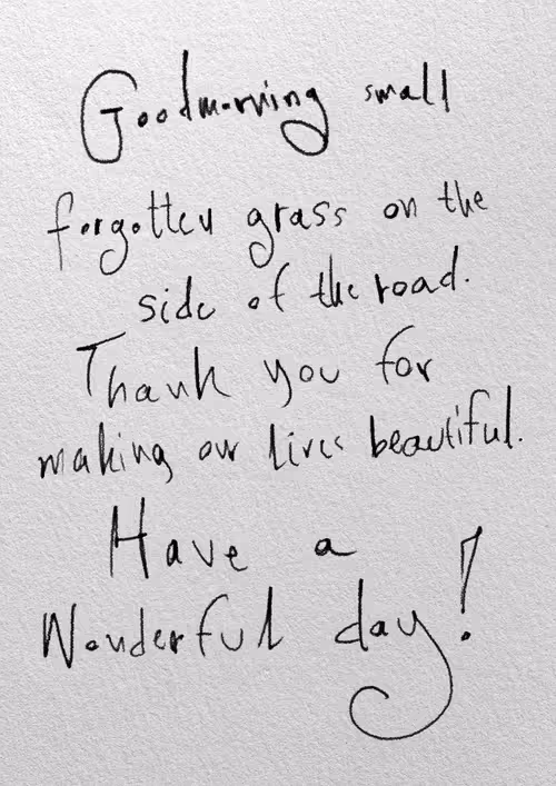 Item #12504604726874277940967914056399264833417867830001693875411320544847210741761 Media