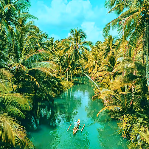 Item #41608778857690482487411606107507343250395388084249972998387532079885042319361 Media