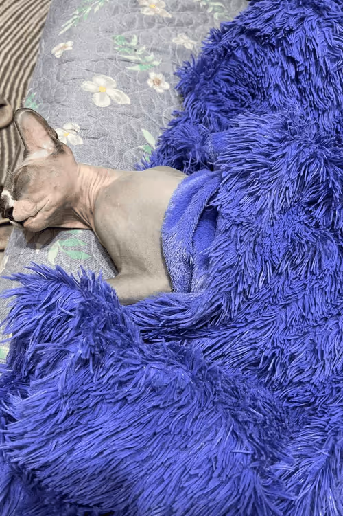 Item #91467919776805125201774788997551389612240577808120684440209088010282757783553 Media