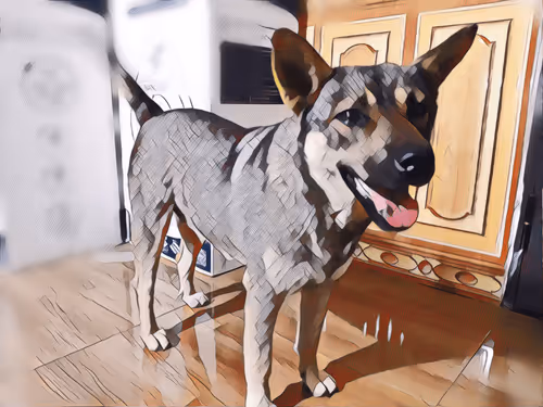 Item #74122138759525378795667626270866148487737655975912799548892275399627125030913 Media