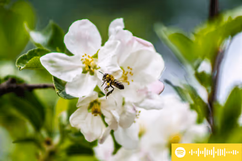 Item #107978139147131831661941634405889412338959910345453465515168770621823023841281 Media