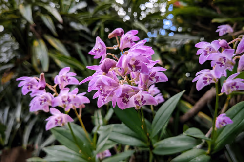 Item #39075669952795110311488058078452160275975432518977374571902800564039205257217 Media