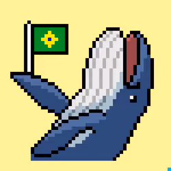 Whale, hello there BRAZIL!