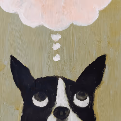 15754840023429334557138315796923330955539742949175386053560965631313012850689