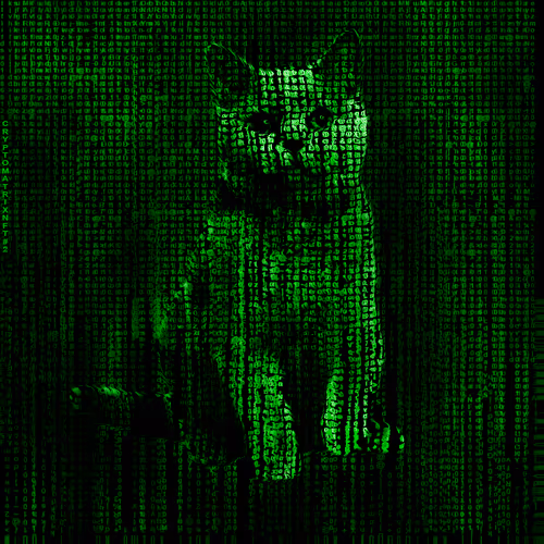 Item #84484507182992813174593212253029795241314662654351325747724180821211231551489 Media