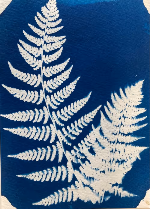 Item #79708962715556691089278777526445721574606898875148265995553784920514439938049 Media