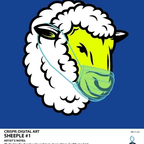 Item #87415360235446664004770043537842400761718434103181100029078096150514192351233 Media