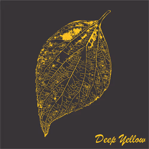 Item #40167138637940562108431742001123872206105593199433866487640627823073162166273 Media